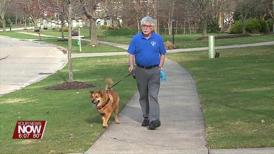 How Dogs can Help with your Mental Health