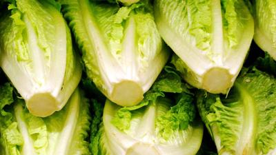 Lettuce generic