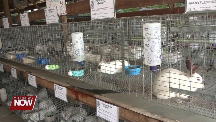 Putnam County Junior Fair move-in day filled with excitement for coming livestock shows