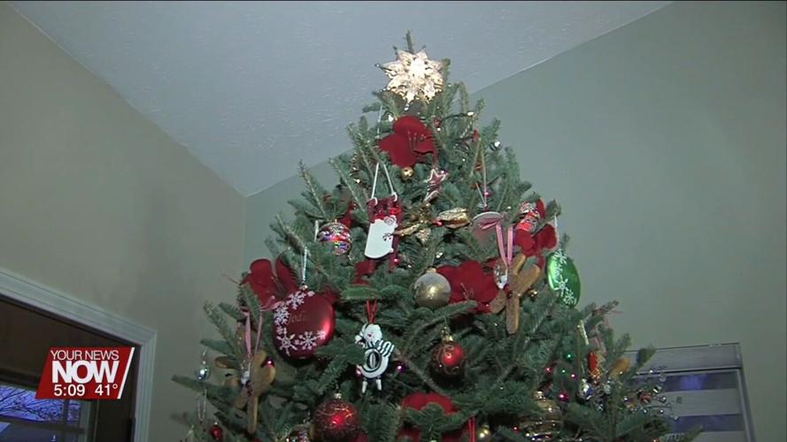 Christmas trees can have an impact on your allergies News