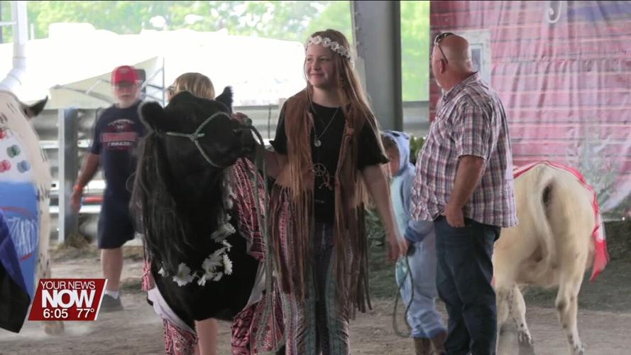 Best Dressed Bovine Contest at Allen County Fair puts a fun spin on showmanship