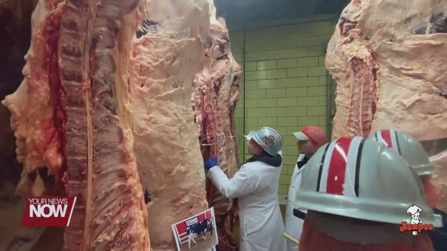 Allen County Fair wraps up with Kewpee Carcass Show