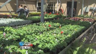 Plant sale at Apollo Career Center