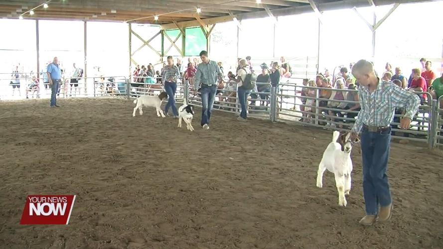 167th Putnam County Fair is open for all the fun, food, and 4H projects