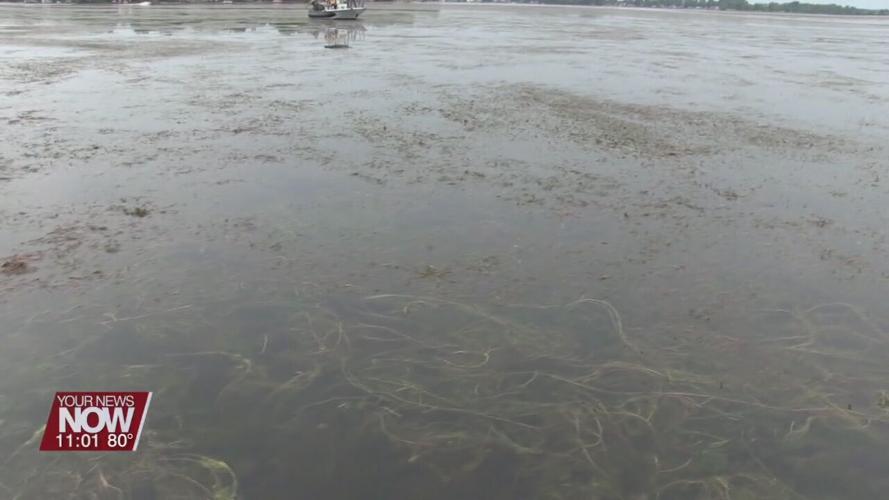 Gov. DeWine tours vegetation infestation problem at Indian Lake