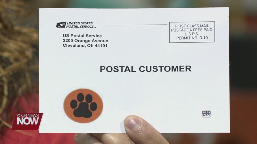 Dog owners in Van Wert could expect to see stickers appearing on their mailboxes
