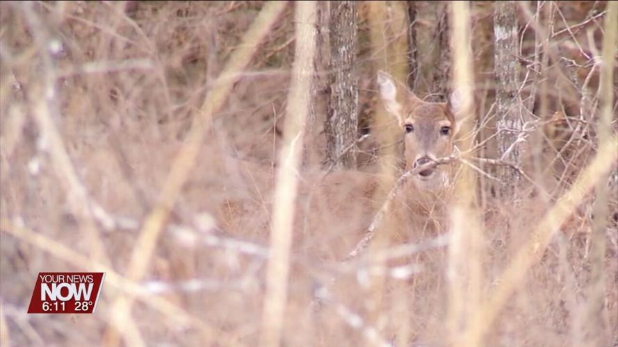 Deer gun season is underway and runs through December 3rd