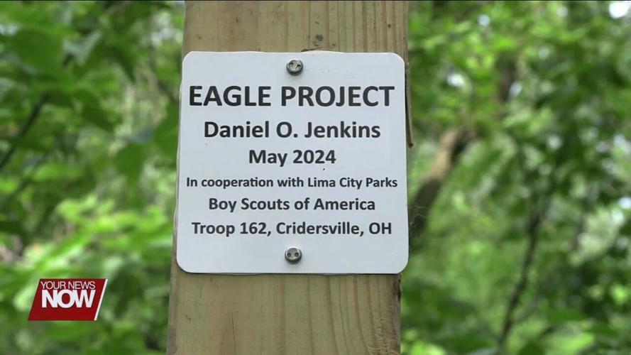 Endangered bat found along the Ottawa River gets a helping hand from a Cridersville Eagle Scout
