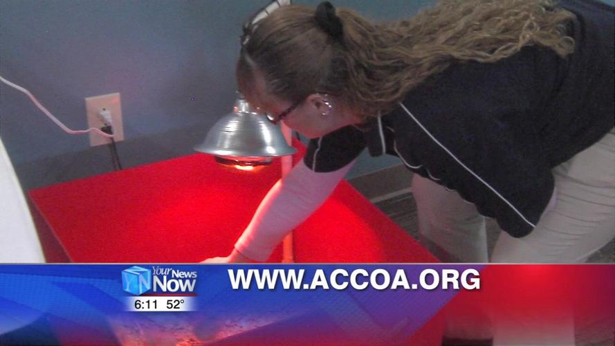 Council on Aging opens up new facility to the public 2.jpg