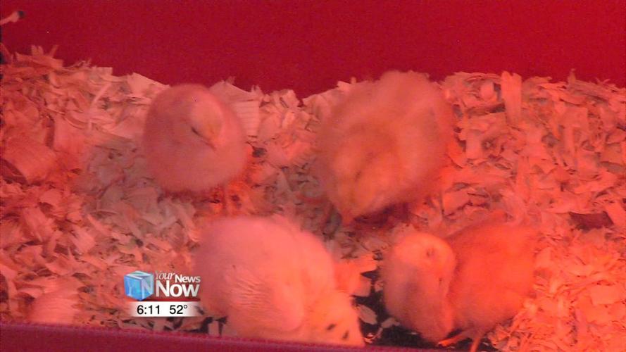 Council on Aging opens up new facility to the public 1.jpg