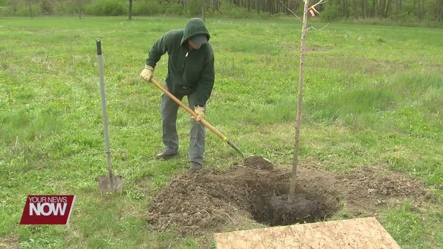 Johnny Appleseed parks mark 50th anniversary with new path through arboretum