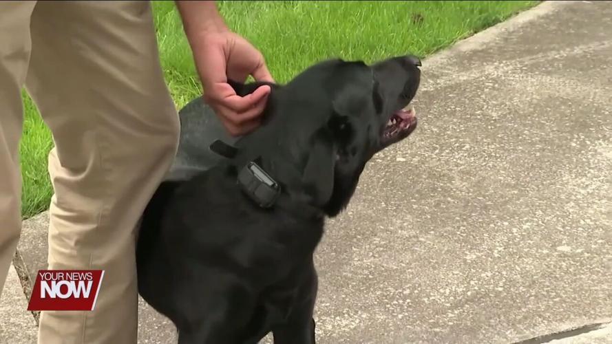 Bat tests positive for rabies in Putnam County