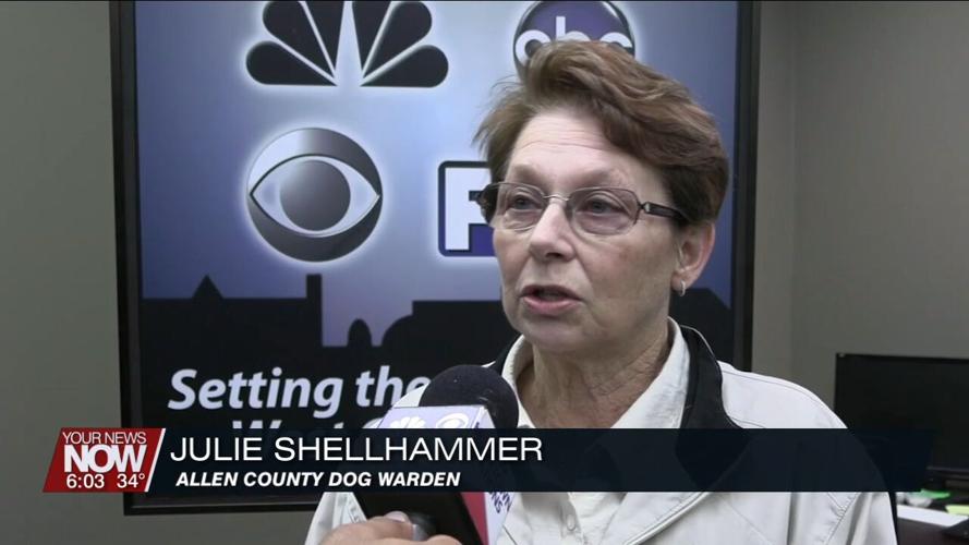 Reminders for keeping your pets safe when out in frigid temperatures