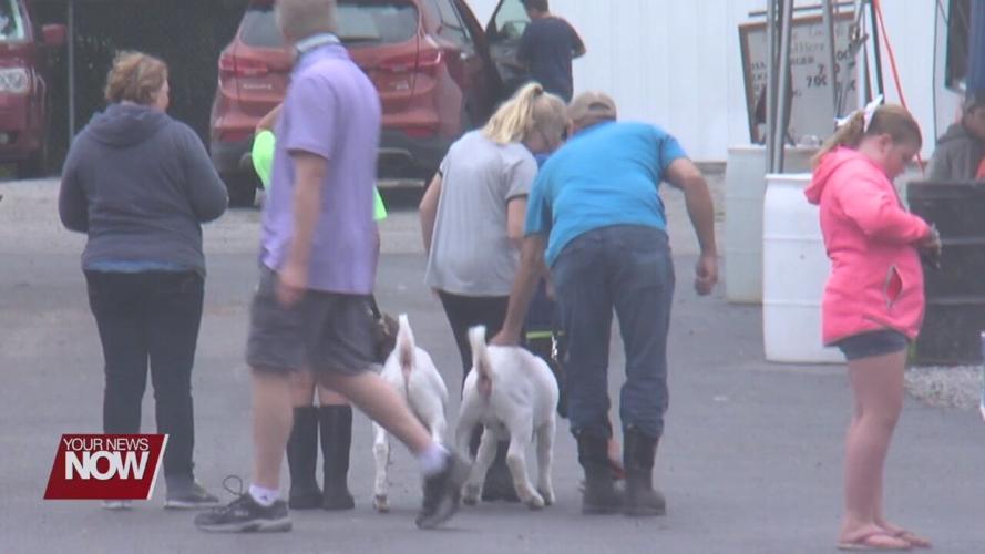Auglaize County Fair kicks-off, vendors have a unique problem