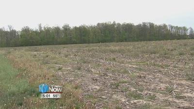 Getting back into the fields