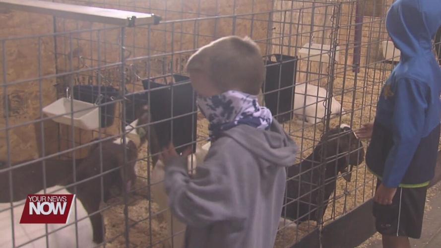 Auglaize County Fair kicks-off, vendors have a unique problem