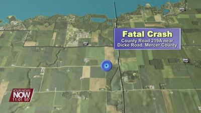 Celina man killed in crash on County Road 219A