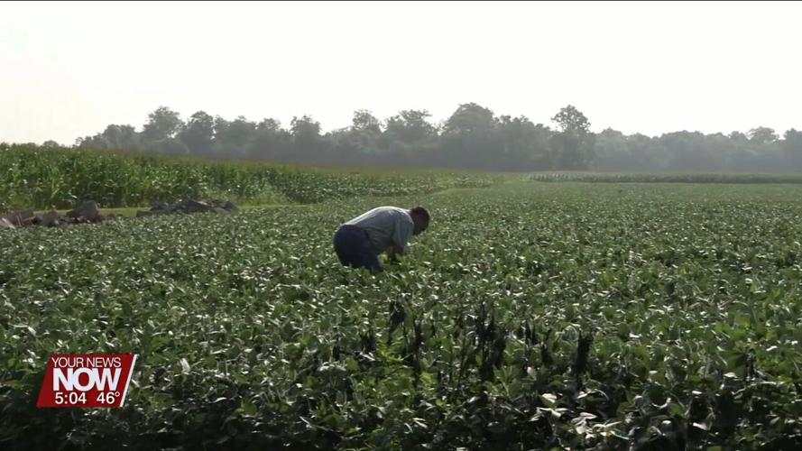 Farmers hear from experts and talk shop at annual Allen County Ag Outlook and Agronomy Day