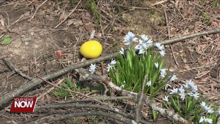 Easter egg hunt to take place on Good Friday at Hover Park