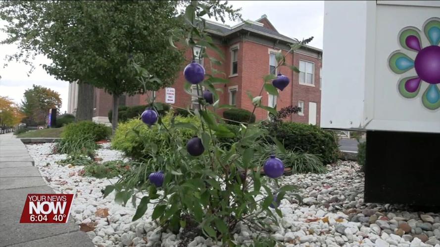 Crossroads Crisis Center honors domestic violence victims with planting of a purple butterfly bush