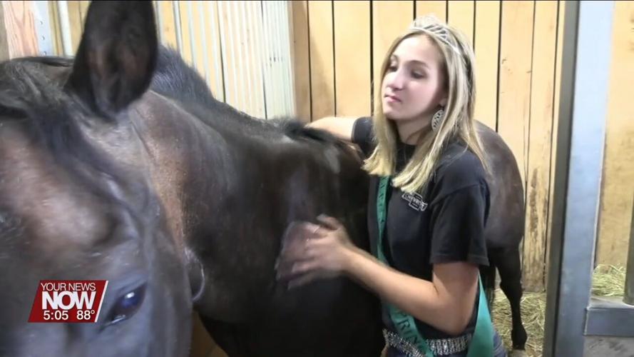 4H Spotlight: Fun and friendship with the Equestrian Program