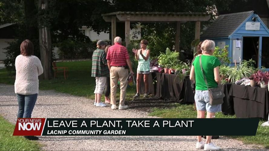 Activate Allen County's Plant Swap bringing like-minded people together
