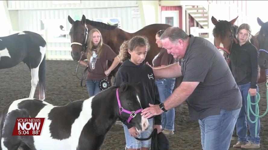 4H Spotlight: Fun and friendship with the Equestrian Program