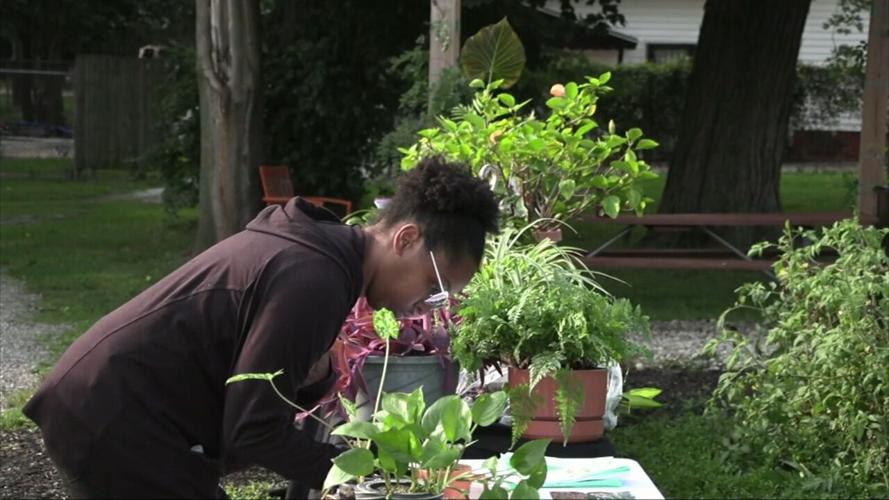 Activate Allen County's Plant Swap bringing like-minded people together