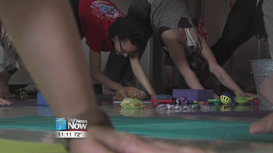 Van Wert County Humane Society, YMCA partner for Kitten Yoga1.jpg