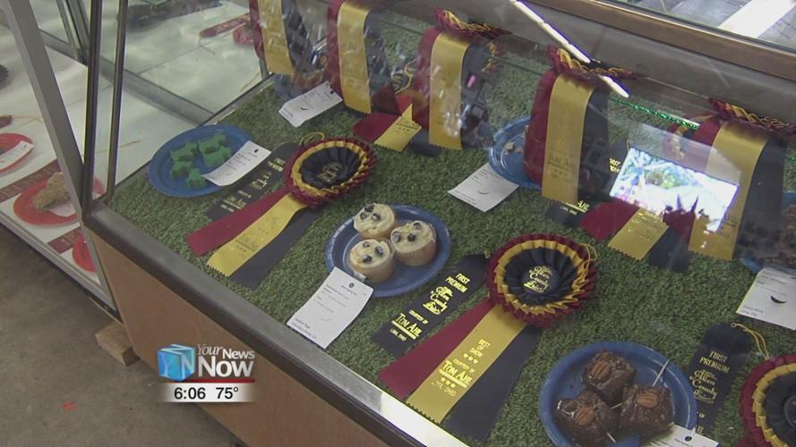 Open Class competition at the fair lets the adults vy for a blue ribbon 2.jpg