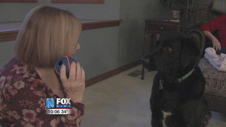 Local dog warms hearts with Facebook video