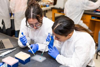 ONU STEM scholarships