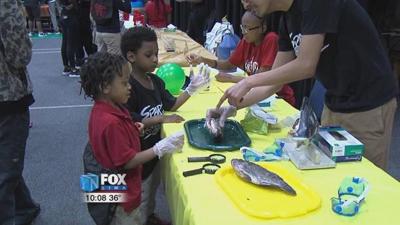 Making connections at Spartan Fest