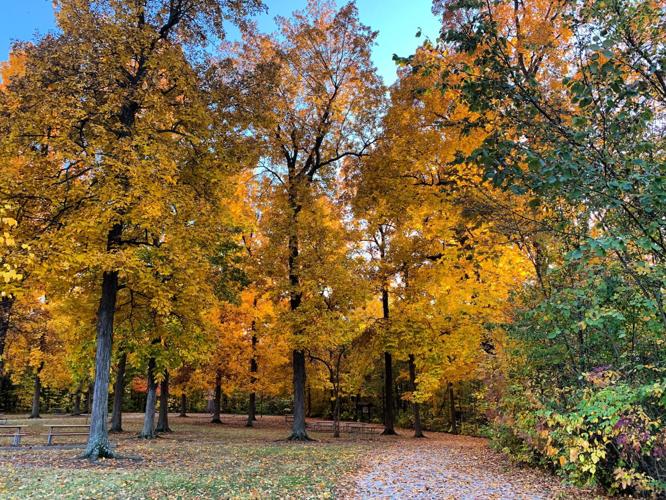 The leaves are starting to change - here's when to expect peak foliage in Ohio