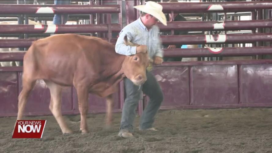 Seasoned cowboys impress with stunts at Lima Stampede Rodeo