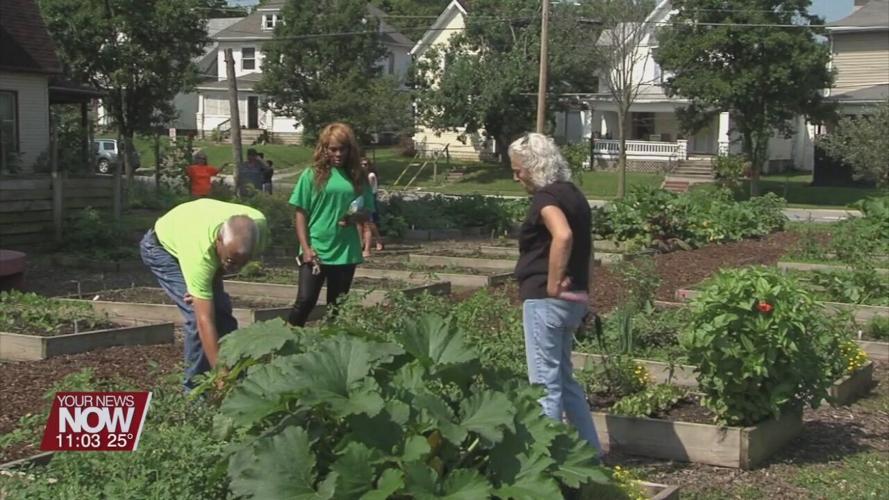 Lima's two community gardens looking for people to sign up for plots