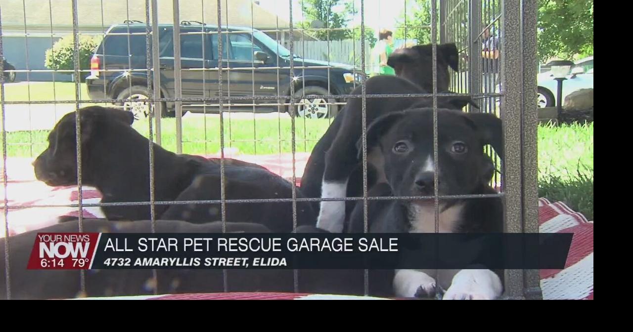 Local pet rescue holding annual garage sale to help pay for dog medical bills News