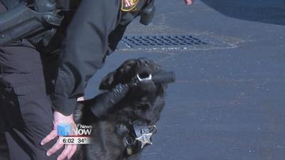 Putnam County's K-9 Unit lending a helping paw