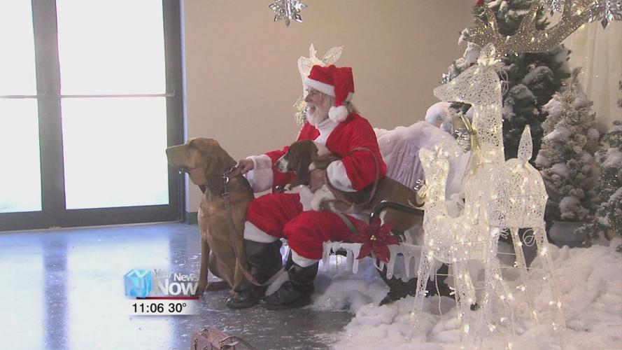 Picture time at the Ohio SPCA of Allen County