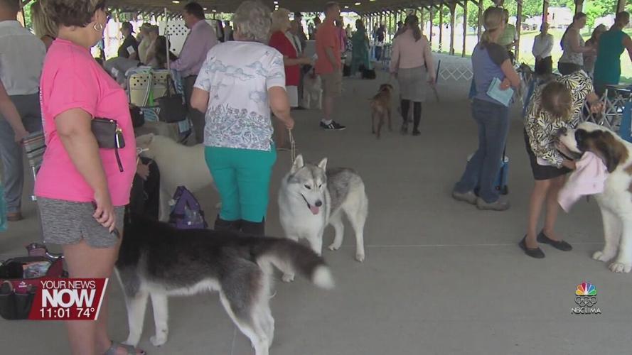 Lima Kennel Club hosts all-breed dog show