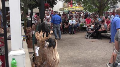 Allen County Fair auction supports students with scholarships, grants