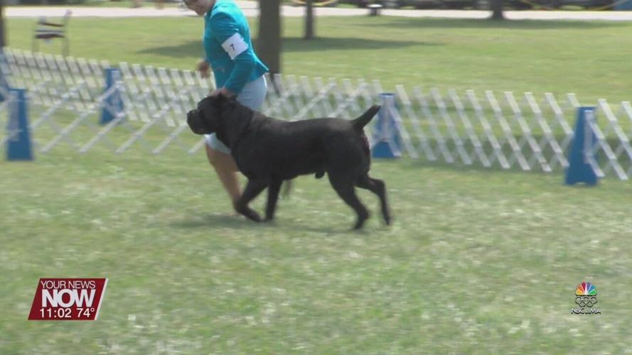Lima Kennel Club hosts all-breed dog show