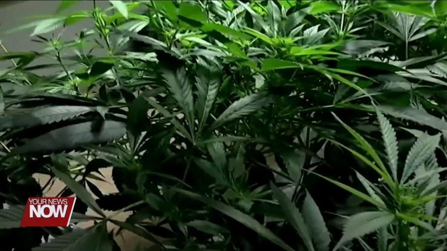 Legalization of recreational marijuana could appear on Ohio ballot this November