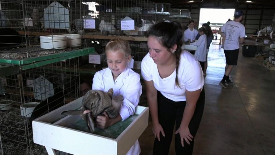 4-H Spotlight: "Bunny Boosters" mentoring young 4-H members