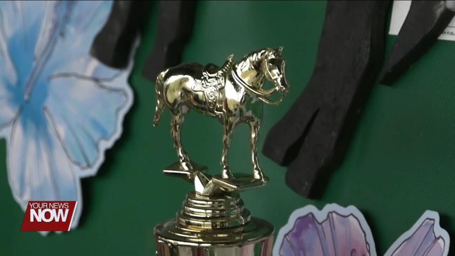 4H members showcase their commitment to hard work through Auglaize County Fair competitions