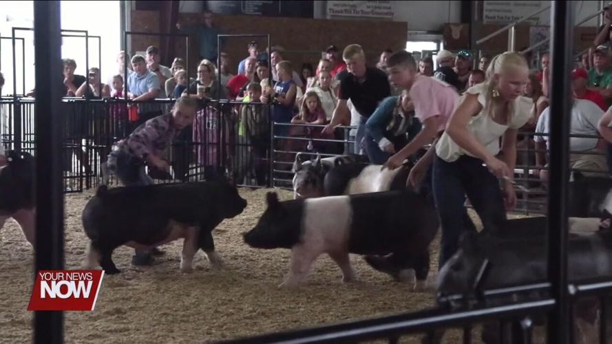 4H members showcase their commitment to hard work through Auglaize County Fair competitions