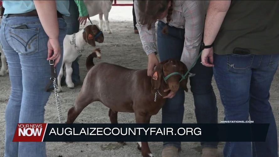 4H members showcase their commitment to hard work through Auglaize County Fair competitions