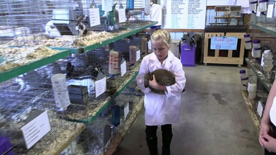 4-H Spotlight: "Bunny Boosters" mentoring young 4-H members