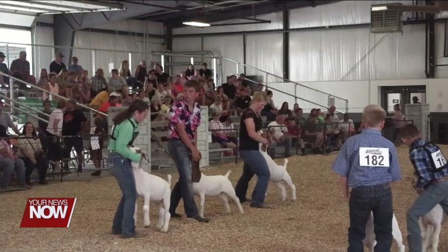 4H members showcase their commitment to hard work through Auglaize County Fair competitions