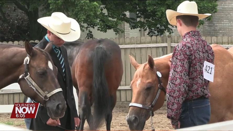 Putnam County Junior Fair members speak about the positive impact of 4-H